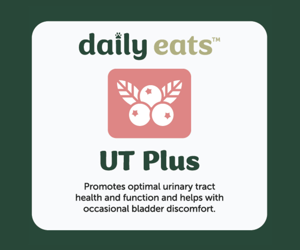 UT Plus