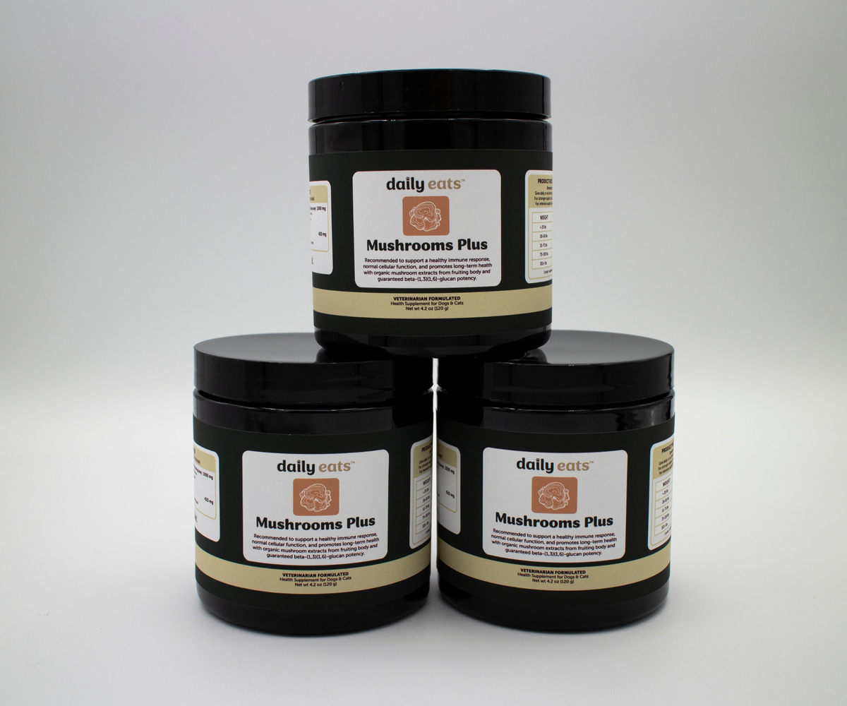 Mushrooms Plus Powder - Bundle of 3
