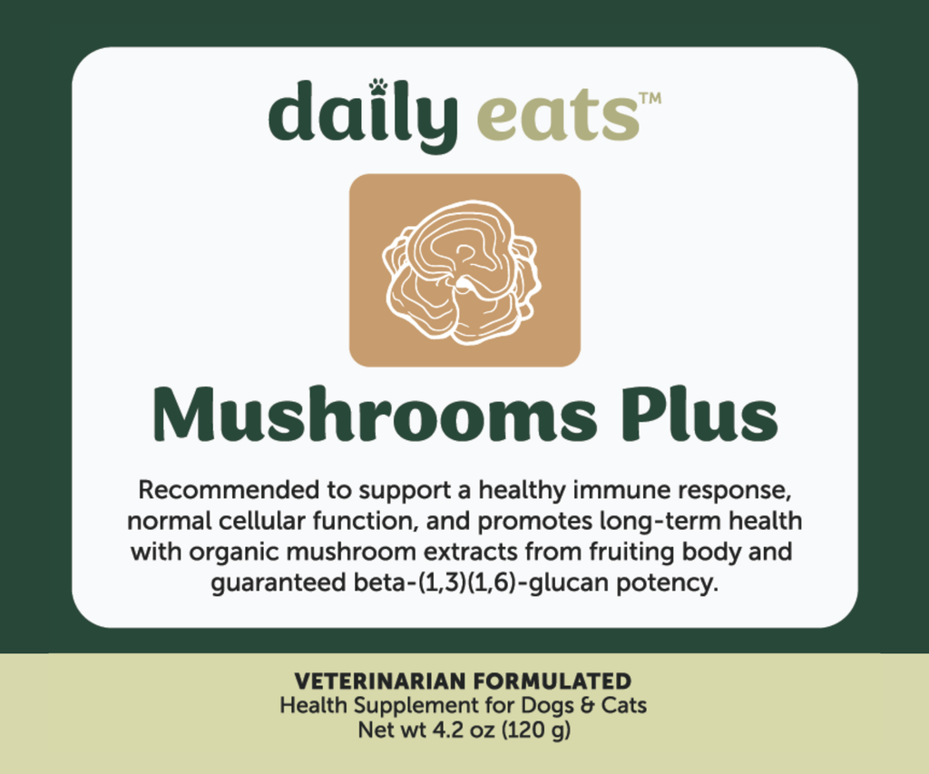 Mushrooms Plus Powder