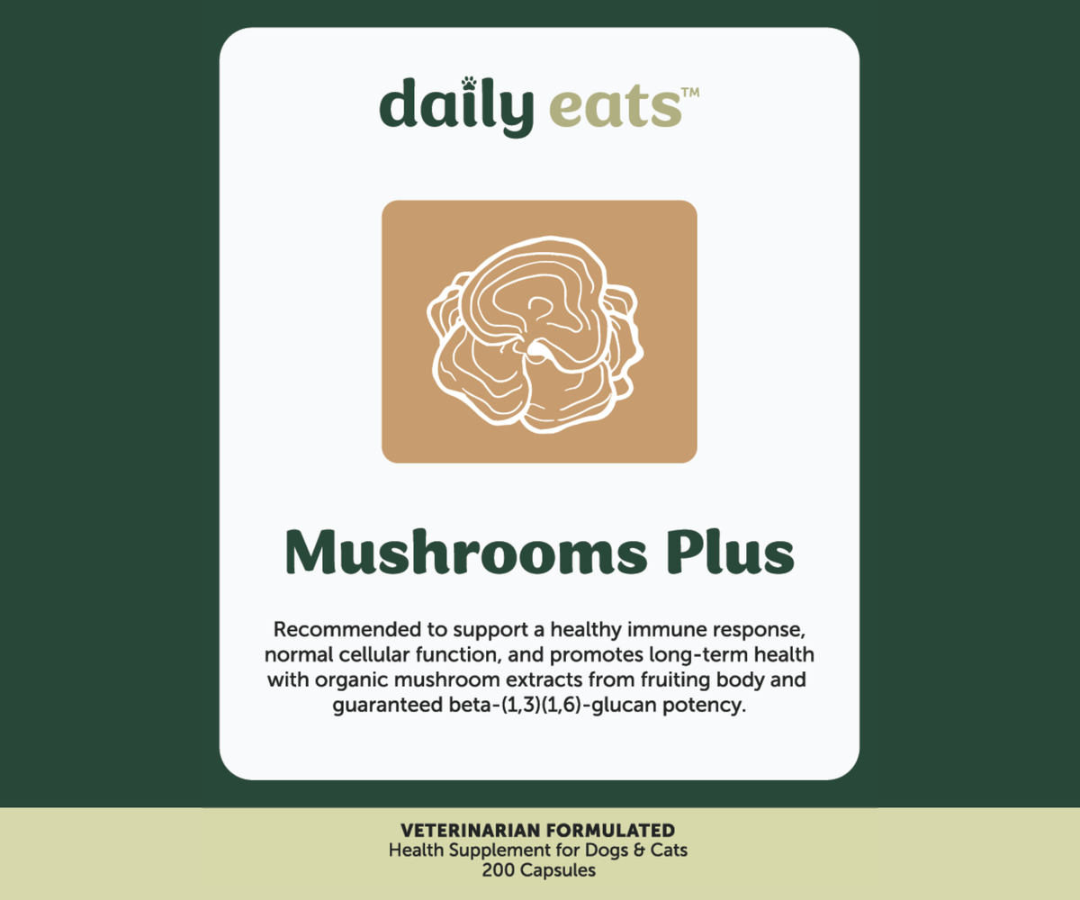 Mushrooms Plus Capsules - Bundle of 3