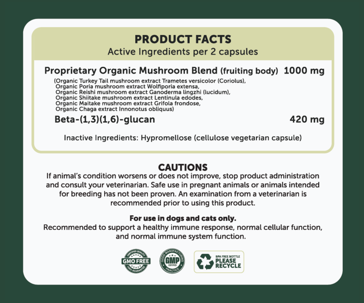 Mushrooms Plus Capsules