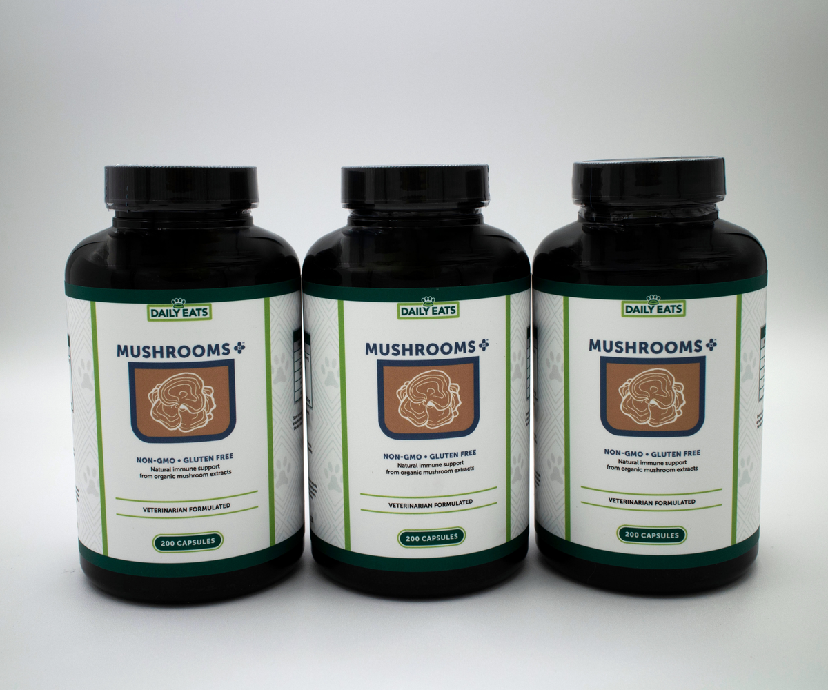 Mushrooms Plus Capsules - Bundle of 3